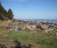 Beach Cleanup (16-May-2015)