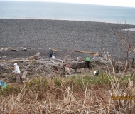 Beach Cleanup (23-May-2015)